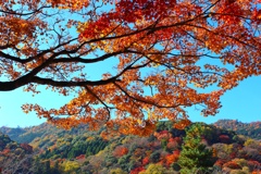 秋の嵐山