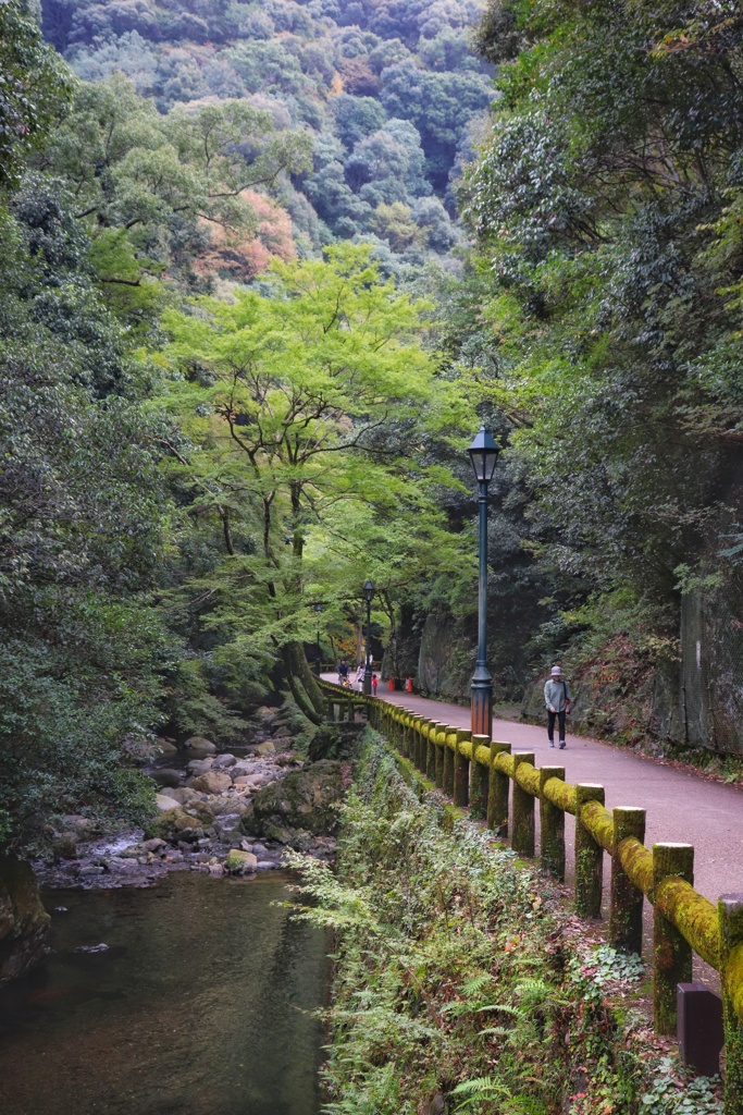 箕面公園を散策
