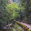 箕面公園を散策