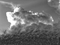 夏雲 夏雲
