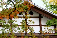 紅葉始まる