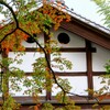 紅葉始まる