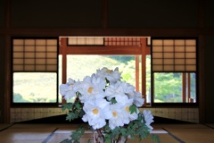 玄関の花