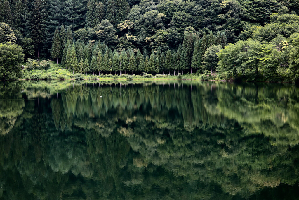 中綱湖(長野県）