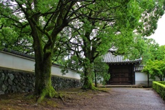 東福寺（京都）