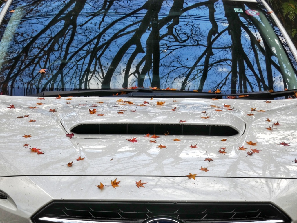 車を彩る