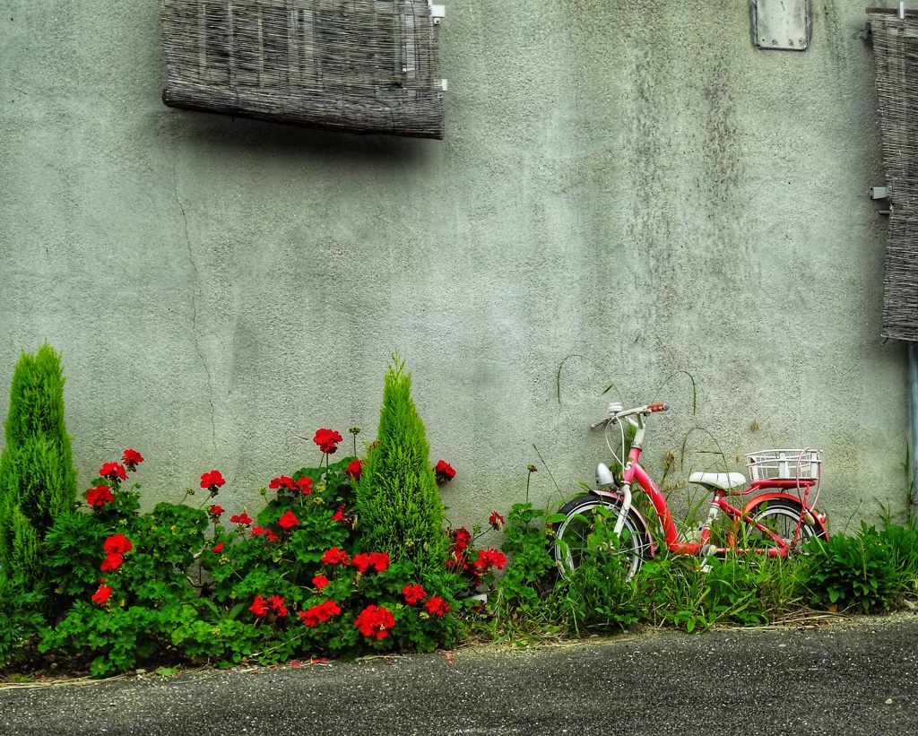 忘れられた自転車