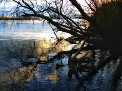 水面（みなも）