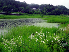 小雨の中綱湖