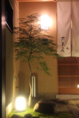 京の灯り（１）