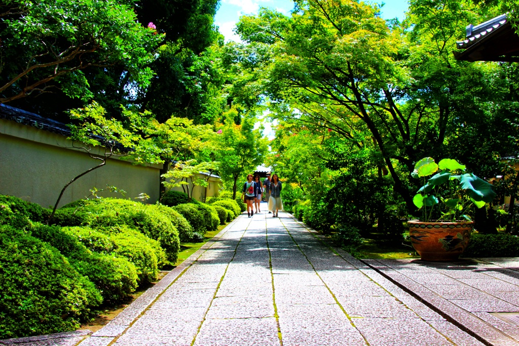 大徳寺
