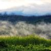 白馬村の朝