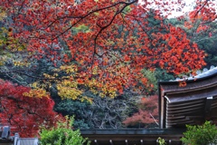 石龕寺の紅葉