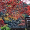石龕寺の紅葉