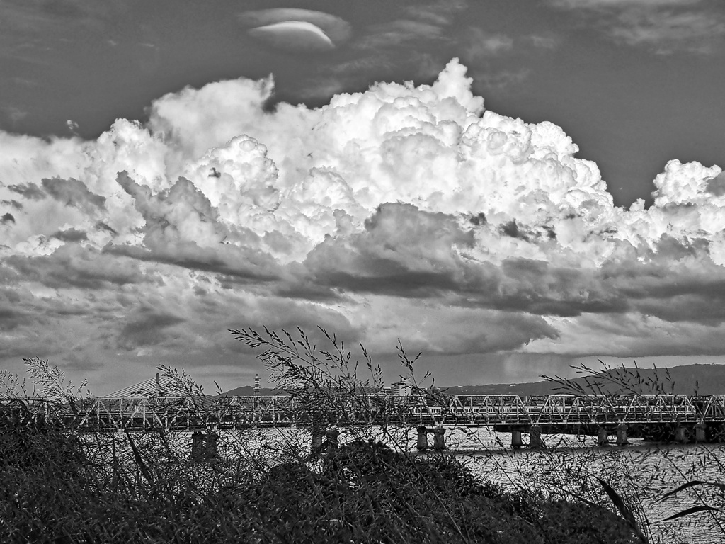 UFO が写ってる？