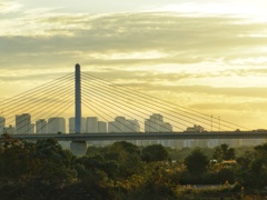 城北大橋