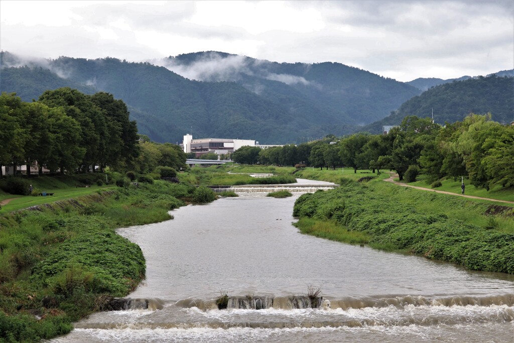 雨上がりの賀茂川上流