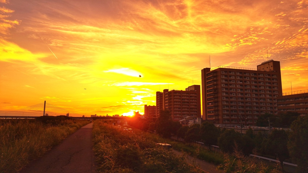 淀川夕景