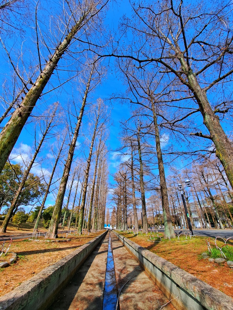 緑地公園エントランス