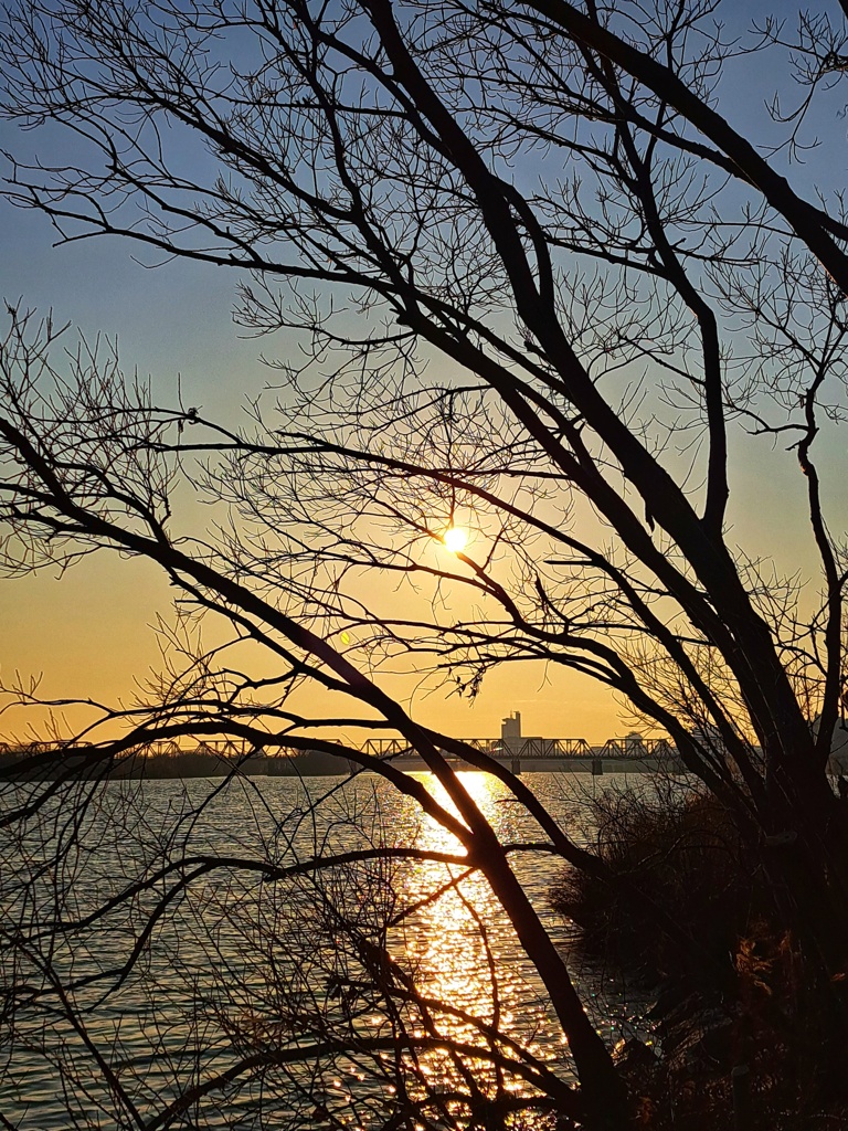 淀川の夕暮れ