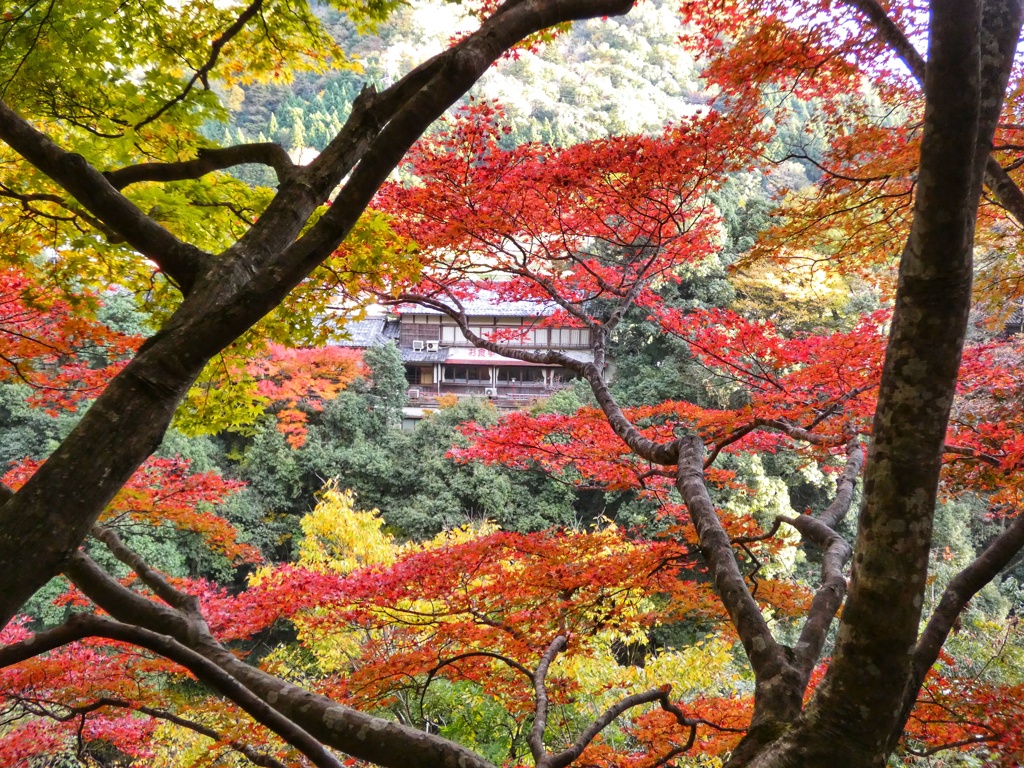 永源寺にて