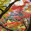永源寺にて