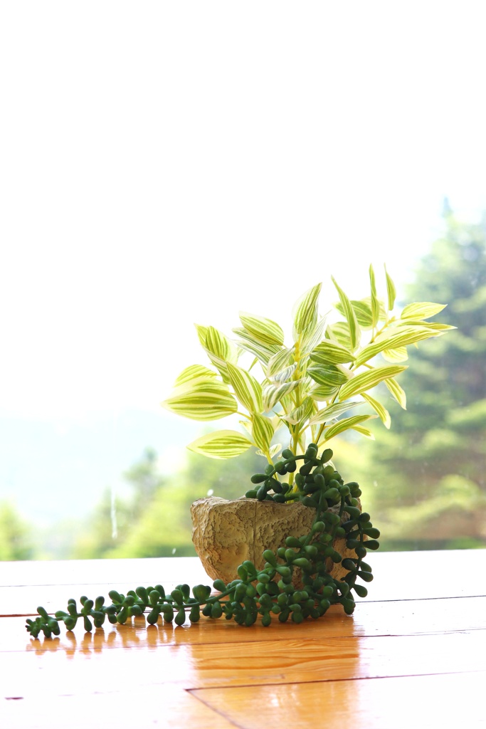 静物写真