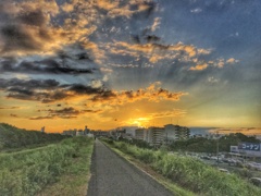 淀川夕景(2)