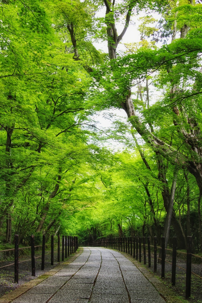 光明寺
