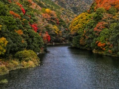 愛知川の秋