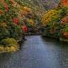 愛知川の秋