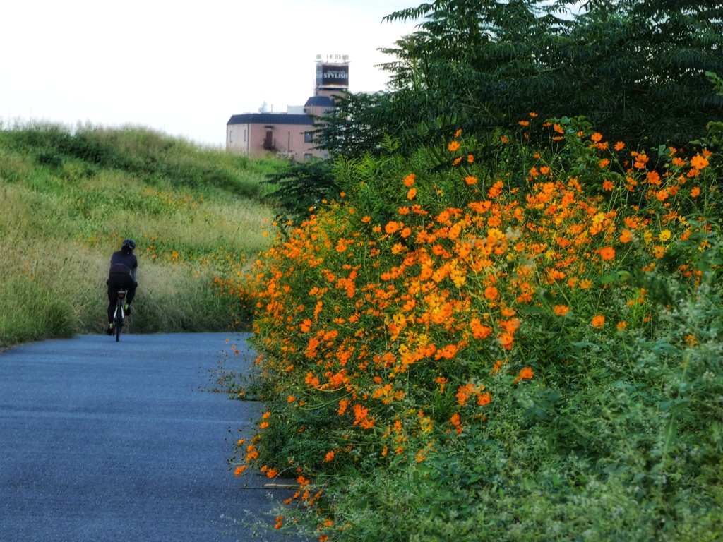 サイクリング