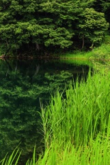 中綱湖