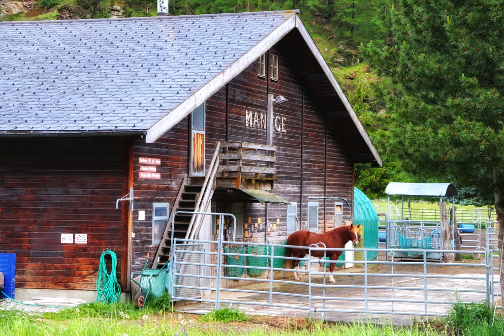 今年はあなたの出番ですよ
