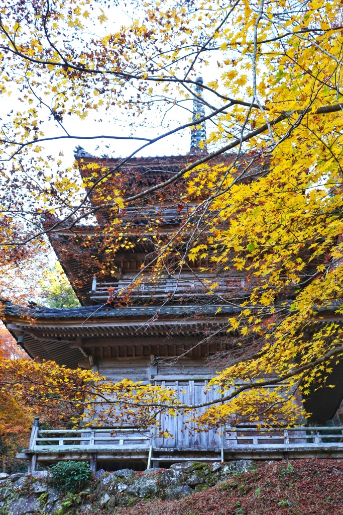 高源寺　多宝塔