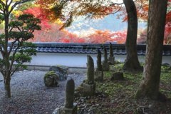 円通寺　石仏