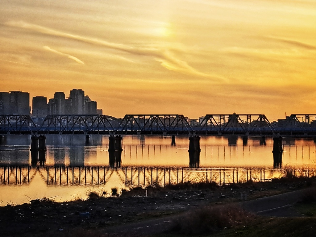 淀川夕景