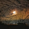 朧月夜