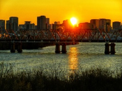 明日も良い一日になりますように