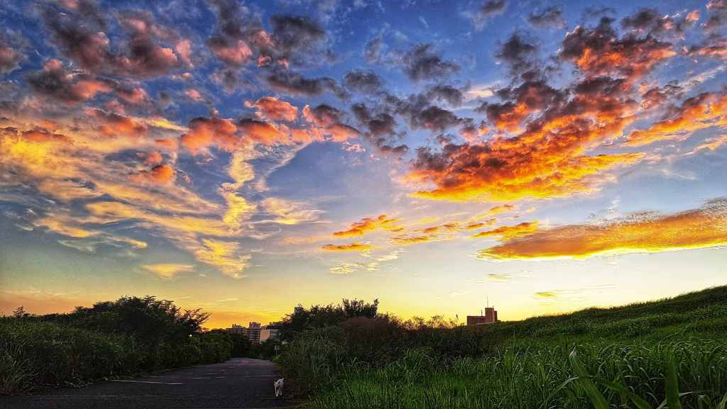 淀川夕景