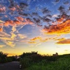 淀川夕景
