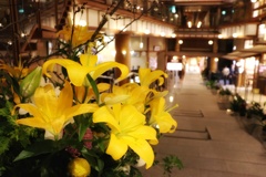 ウェルカム　フラワー