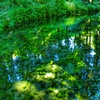 白川水源