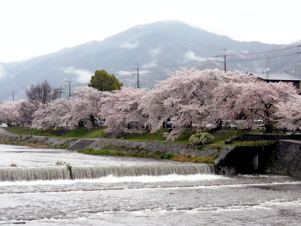 あいにくの雨模様