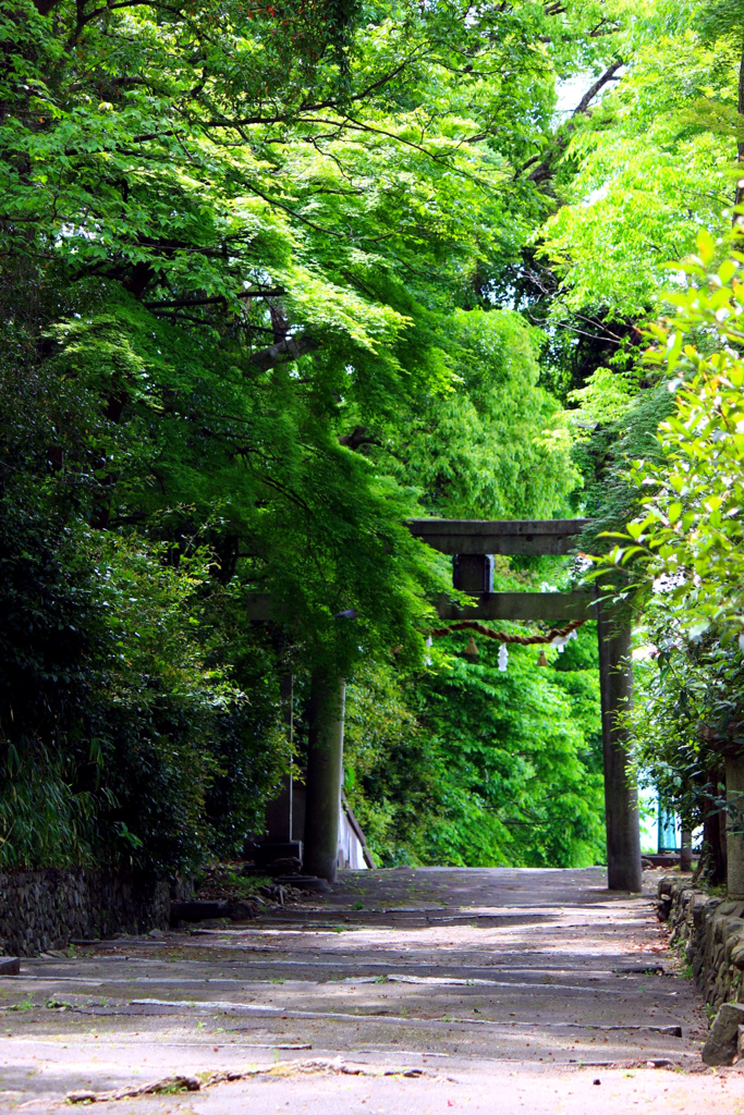 伊居太神社②