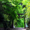 伊居太神社②