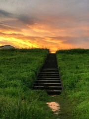 雨上がりの階段
