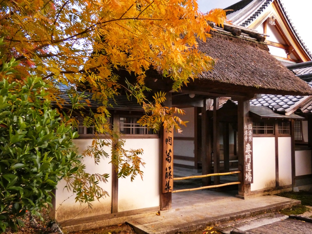 座禅道場