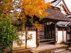 座禅道場