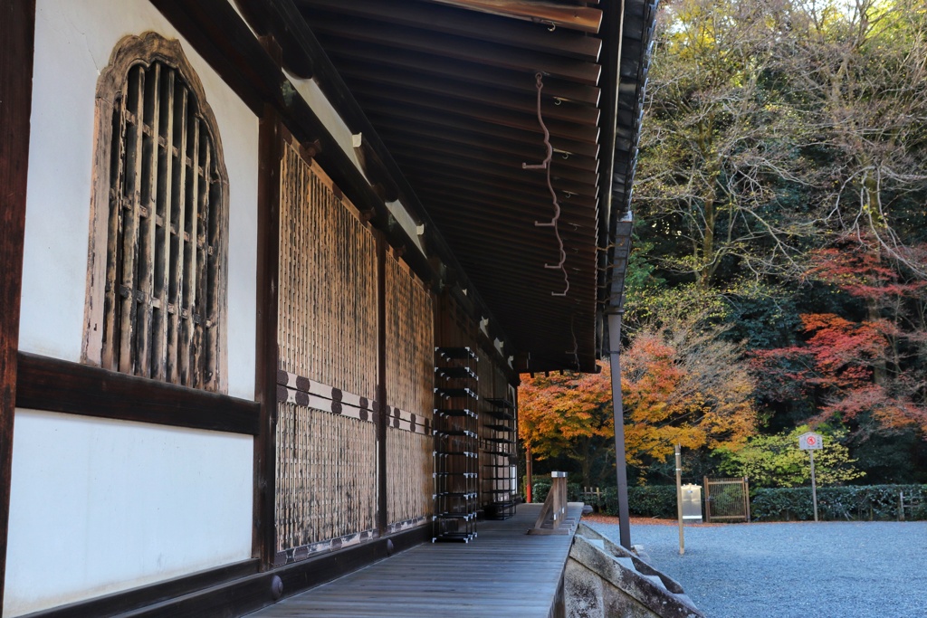泉涌寺
